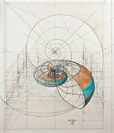 Architectural nautilus shell representing structured systems within natural design.